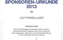 SpecialOlympics2013-3.jpg